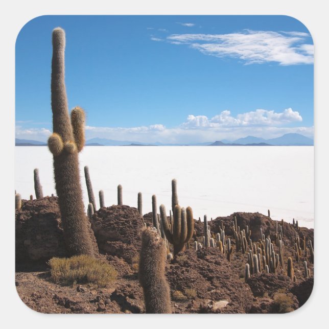 Giant cactus at the Salar de Uyuni photo sticker (Front)