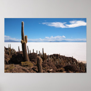 Giant cactus at the Salar de Uyuni poster print