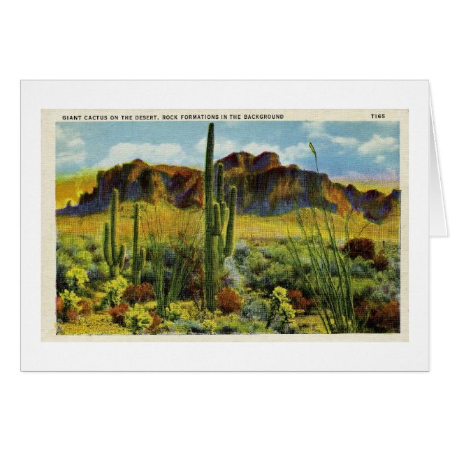 Giant Cactus in Desert - Vintage Postcard (Front Horizontal)