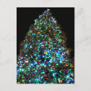 Giant Christmas Tree IIII Holiday Postcard