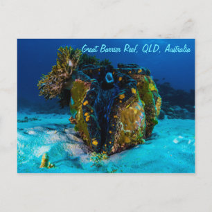 Giant Clam on the Great Barrier Reef Postcard