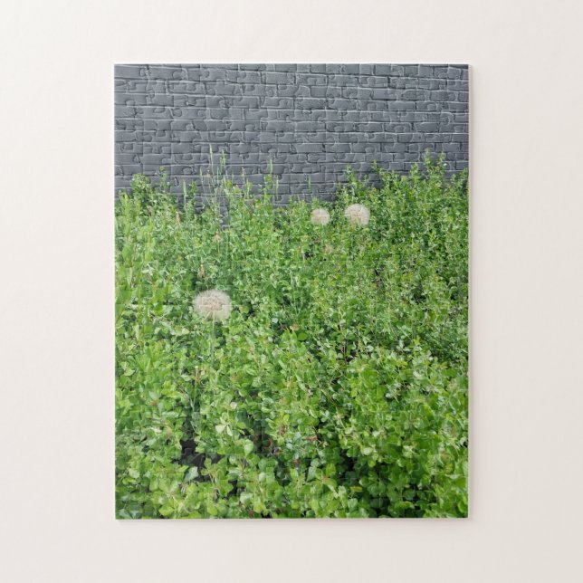 Giant Dandelions Jigsaw Puzzle (Vertical)