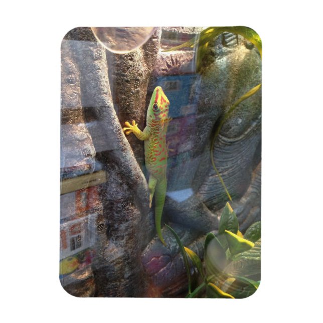 Giant Day Gecko Magnet (Vertical)