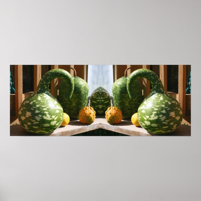 Giant Fancy Gourds Fall Mirror Abstract Poster (Front)