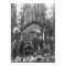 Giant Fir Tree Ready to Fall, 1902