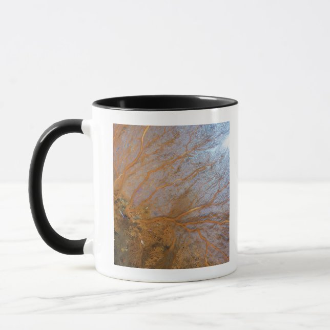 Giant gorgonian sea fan (Plexauridae sp.) Mug (Left)
