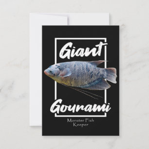 Giant Gourami Monster Fish  Aquarium Lover RSVP Card