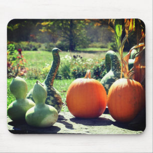 Giant Gourds And Pumpkins Nature  Mouse Mat
