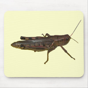 Giant Grasshopper Mouse Mat