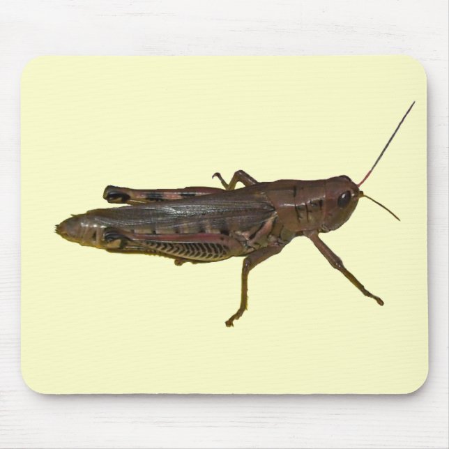Giant Grasshopper Mouse Mat (Front)