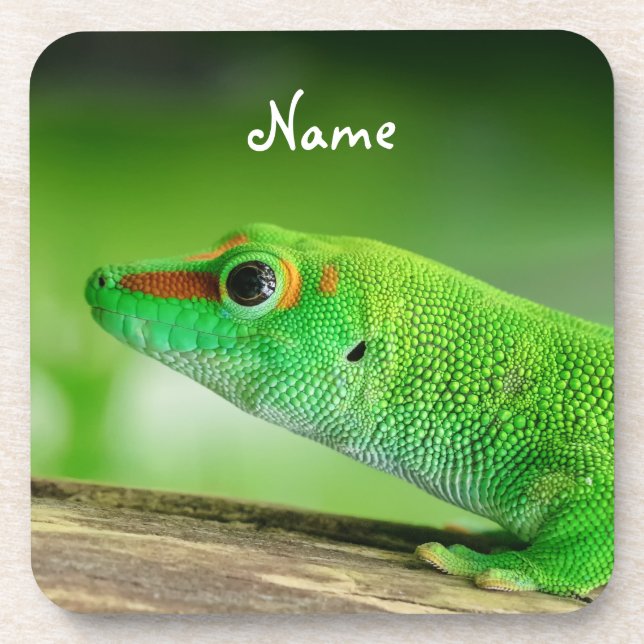 Giant Green Day Gecko - Phelsuma grandis Coaster (Front)