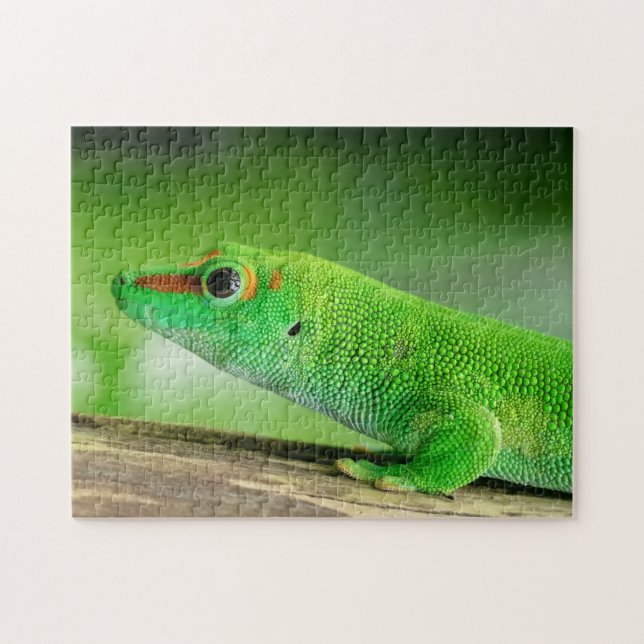 Giant Green Day Gecko - Phelsuma grandis Jigsaw Puzzle (Horizontal)