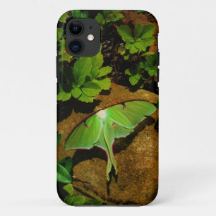 Giant Green Luna moth iPhone 11 Case