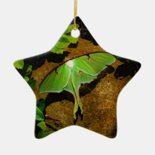Giant Green Luna moth Ceramic Tree Decoration