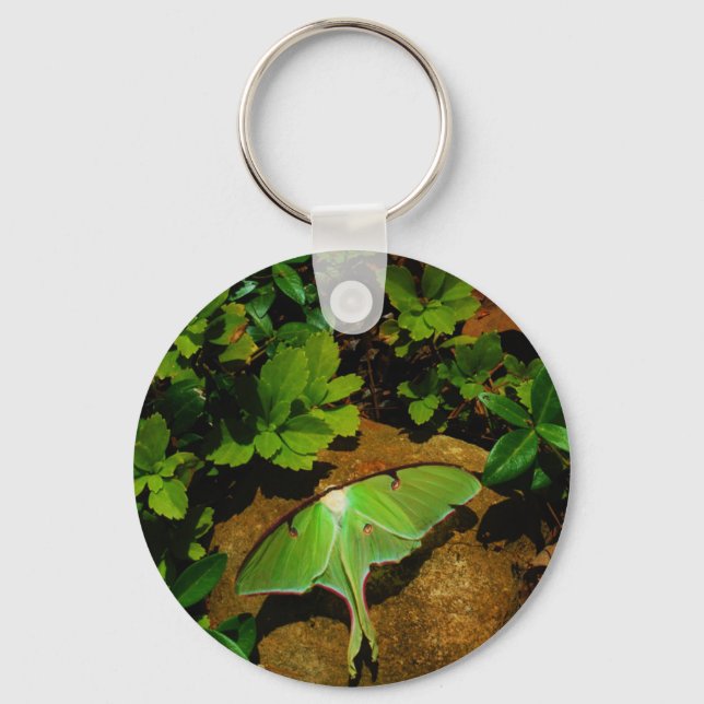 Giant Green Luna moth Key Ring (Front)