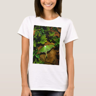 Giant Green Luna moth T-Shirt