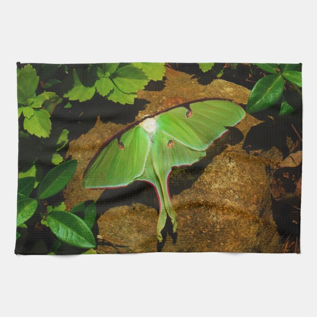 Giant Green Luna moth Tea Towel (Horizontal)