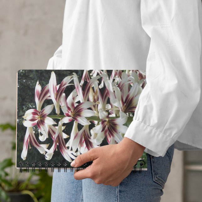 Giant Himalayan Lilies Floral Notebook (In Situ)