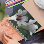Giant Himalayan Lilies Floral Planner<br><div class="desc">This monthly/weekly calendar planner keeps all your up-coming activities and schedules organized in one,  handy place and features a photo image of trumpet shaped,  white Giant Himalayan Lily flowers with reddish-purple centers. A lovely,  floral design! Select your planner style and wire color.</div>