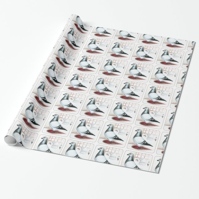 Giant Homer Pigeon 1973 Wrapping Paper (Unrolled)