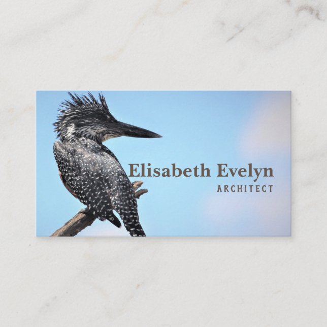 giant kingfisher bird watching business card (Front)