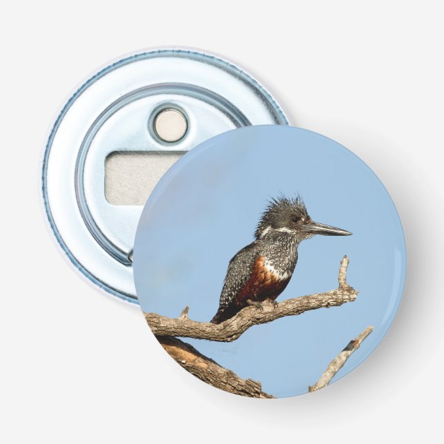 Giant Kingfisher Bottle Opener (Front)