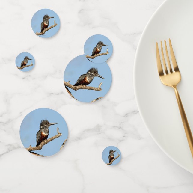 Giant Kingfisher Confetti (Group)