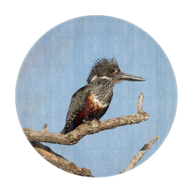 Giant Kingfisher Cutting Board (Front)