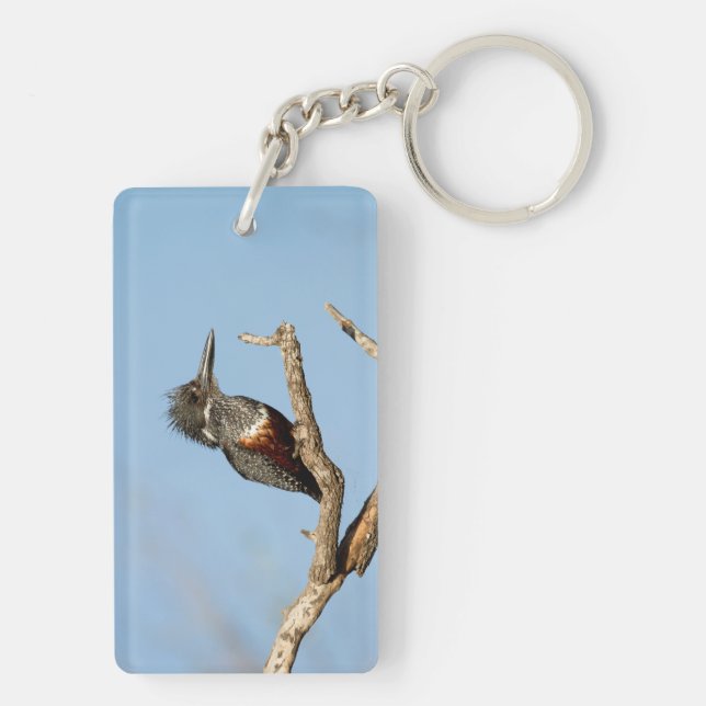 Giant Kingfisher Key Ring (Back)