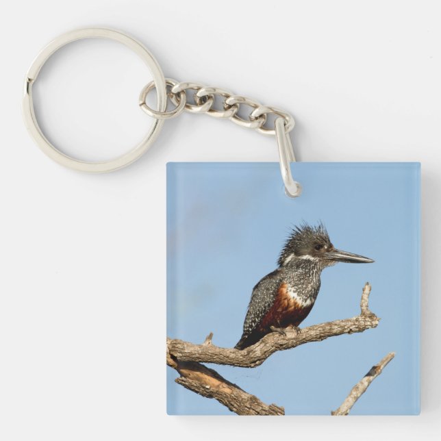 Giant Kingfisher Key Ring (Front)