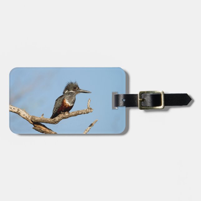 Giant Kingfisher Luggage Tag (Front Horizontal)