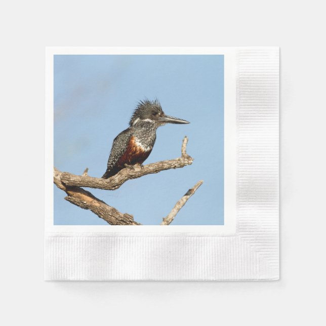 Giant Kingfisher Napkin (Front)