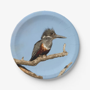 Giant Kingfisher Paper Plate