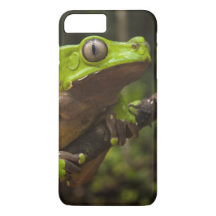 Giant leaf frog Phyllomedusa bicolor) iPhone 8 Plus/7 Plus Case