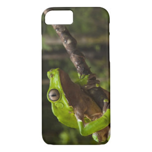 Giant leaf frog Phyllomedusa bicolor) iPhone 8/7 Case