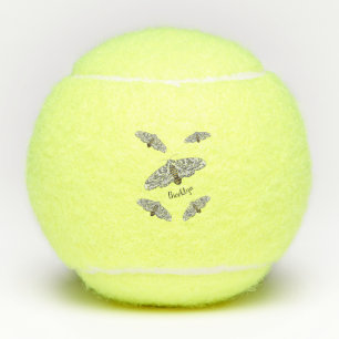 Giant leopard moth cartoon illustration  tennis balls
