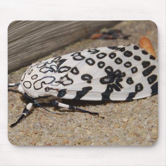 Giant Leopard Moth Mouse Mat (Front)