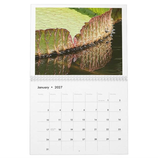 Giant Lily Pads 2013 Calendar (Jan 2027)