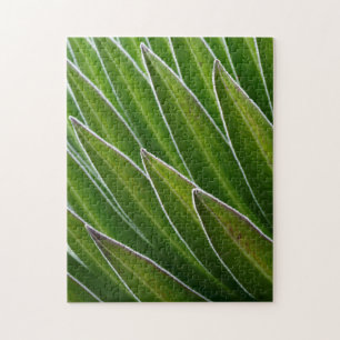 Giant Lobelia (Lobelia telekii) Kenya, Africa Jigsaw Puzzle