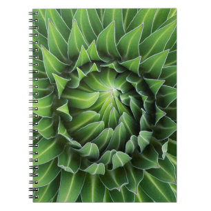 Giant Lobelia   Mount Kenya National Park, Kenya Notebook