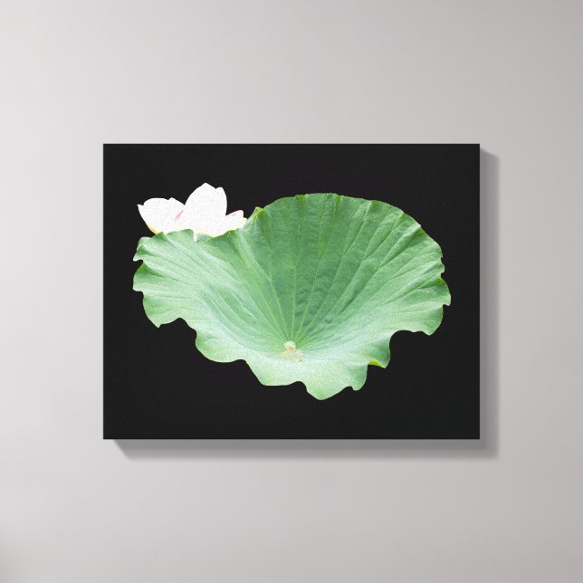Giant Lotus Leaf with Bloom Canvas Print (Front)