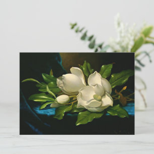 Giant Magnolia on a Blue Velvet Cloth  Card
