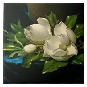 Giant Magnolia on a Blue Velvet Cloth Tile