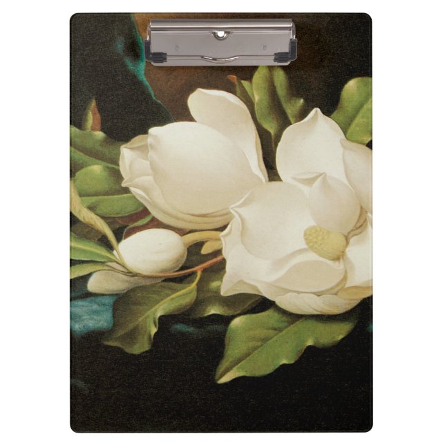 Giant Magnolias on a Blue Velvet Cloth by MJ Heade Clipboard (Front)