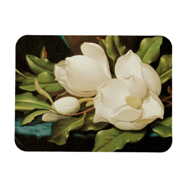Giant Magnolias on a Blue Velvet Cloth by MJ Heade Magnet (Horizontal)