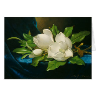 Giant Magnolias on a Blue Velvet Cloth, c.1890 (oi