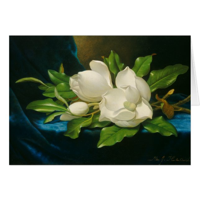 Giant Magnolias on a Blue Velvet Cloth, c.1890 (oi (Front Horizontal)