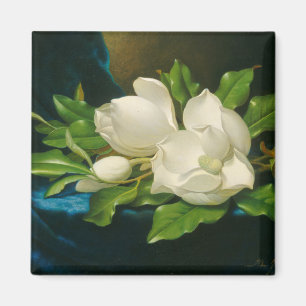 Giant Magnolias on a Blue Velvet Cloth, c.1890 (oi Magnet