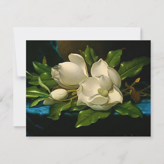 Giant Magnolias on a Blue Velvet Cloth Invitations (Front)