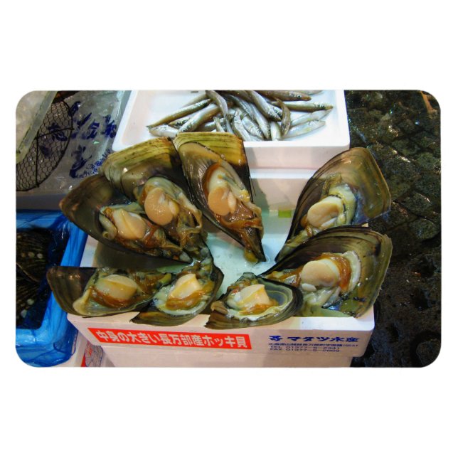 Giant Mussels Tsukiji Fish Market, Tokyo, Japan Magnet (Horizontal)